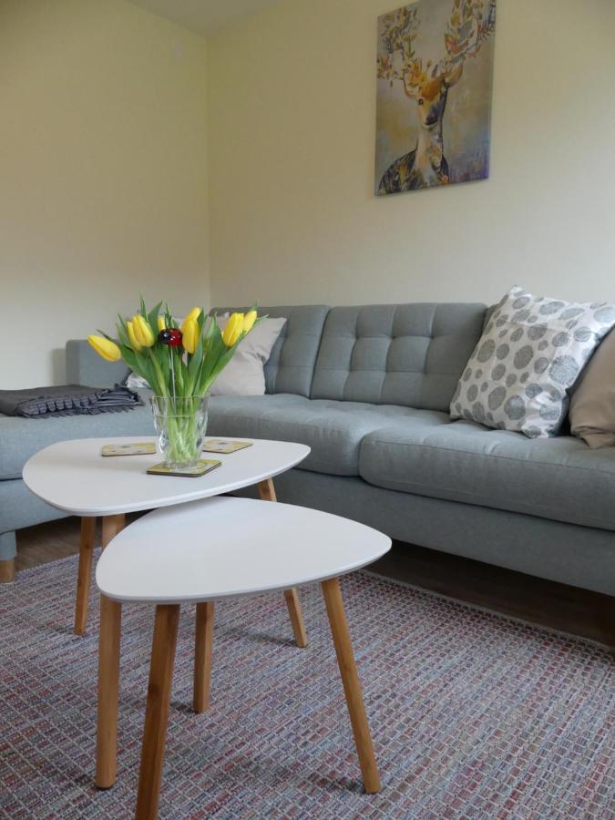 Ferienwohnung Suenteltraum هاملن المظهر الخارجي الصورة